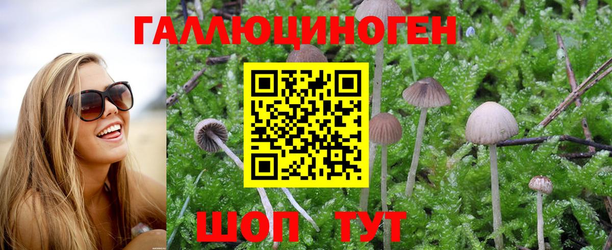 Псилоцибиновые грибы MAGIC MUSHROOMS Кушва