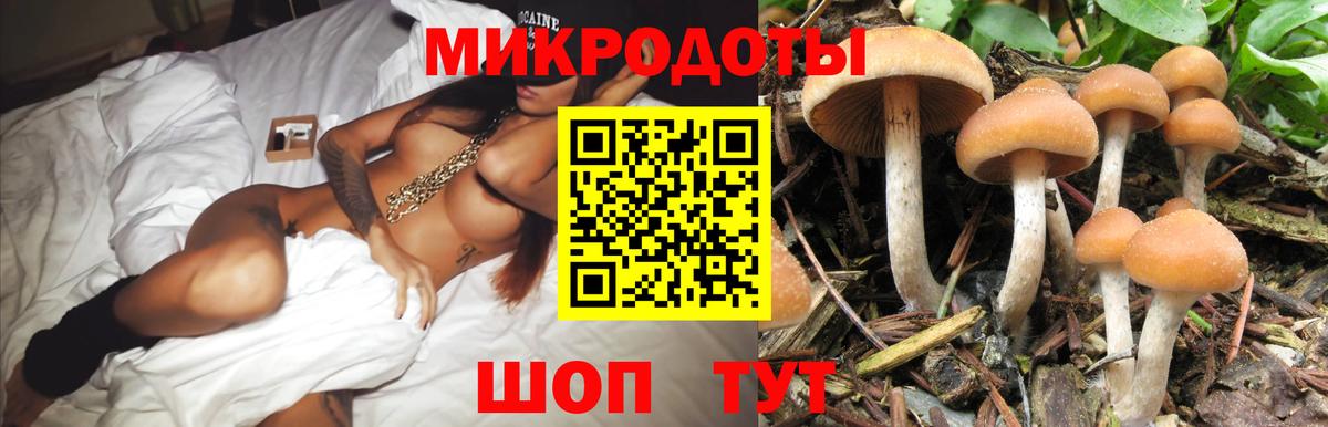 Кушва  Галлюциногенные грибы Magic Shrooms  Вход с VPN 